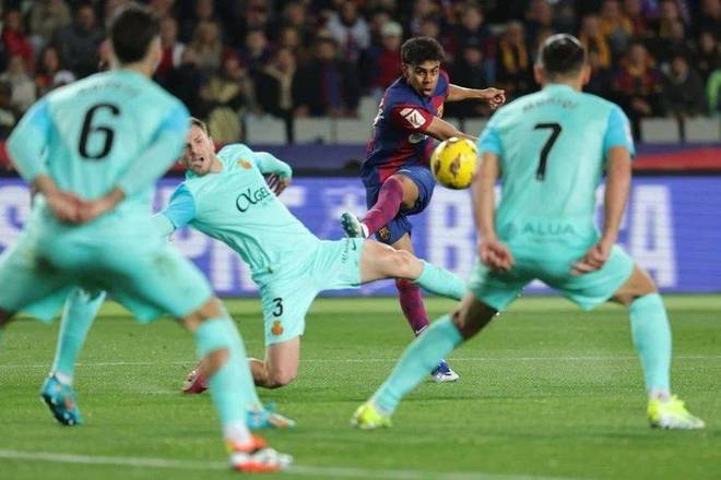 从搜索与品 从搜索与品